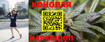 mdpv Можга