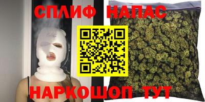 mdpv Можга