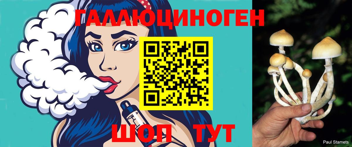 Псилоцибиновые грибы прущие грибы  Галлюциногенные грибы Cubensis  Вход с VPN  Видное 